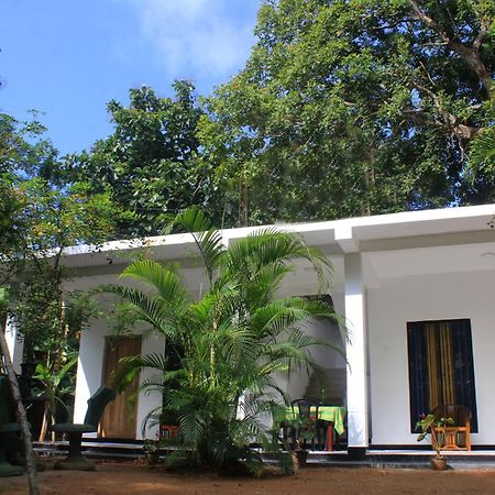 Sigiriya Mana B&B ภายนอก รูปภาพ