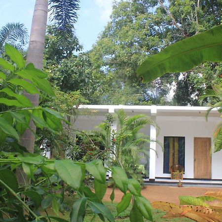 Sigiriya Mana B&B ภายนอก รูปภาพ
