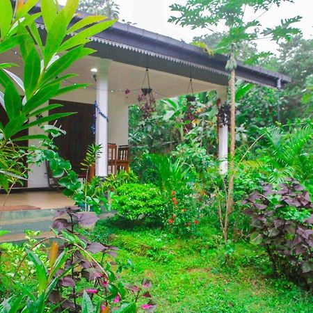 Sigiriya Mana B&B ภายนอก รูปภาพ