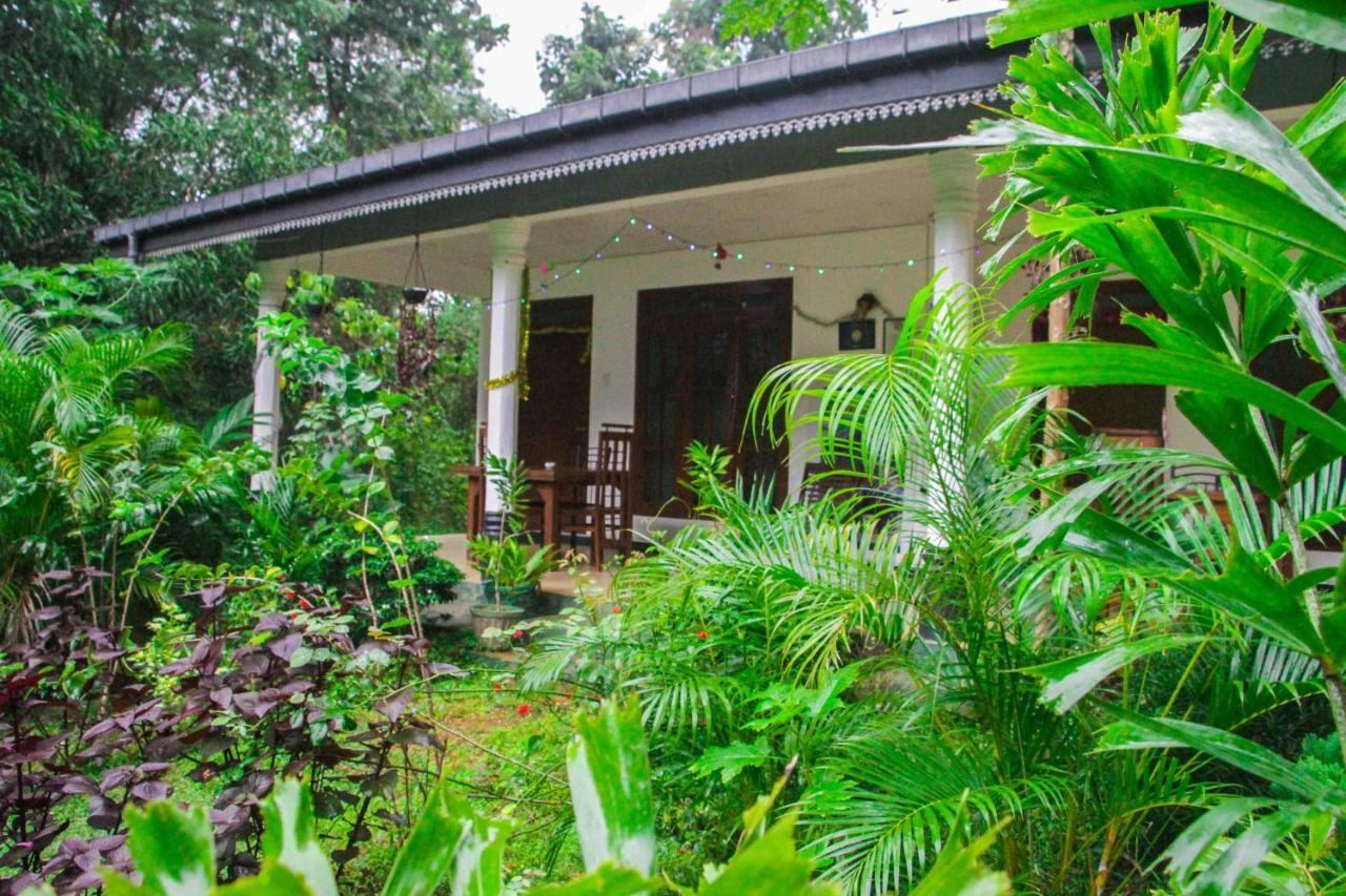 Sigiriya Mana B&B ภายนอก รูปภาพ