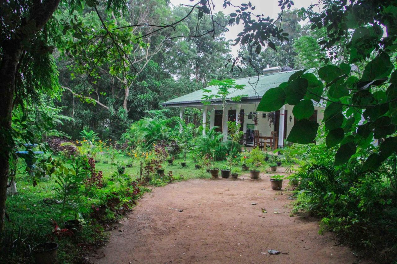 Sigiriya Mana B&B ภายนอก รูปภาพ