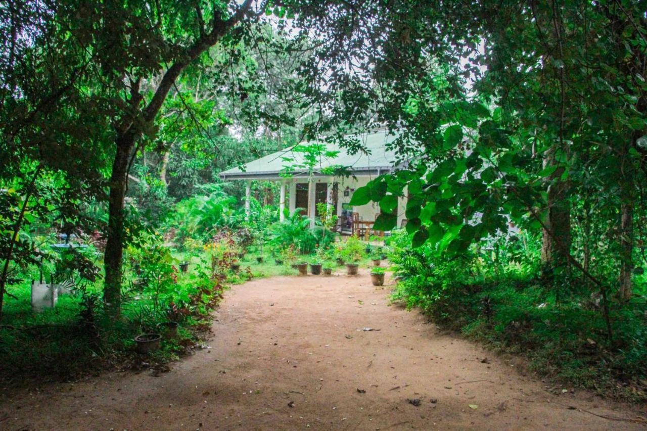 Sigiriya Mana B&B ภายนอก รูปภาพ