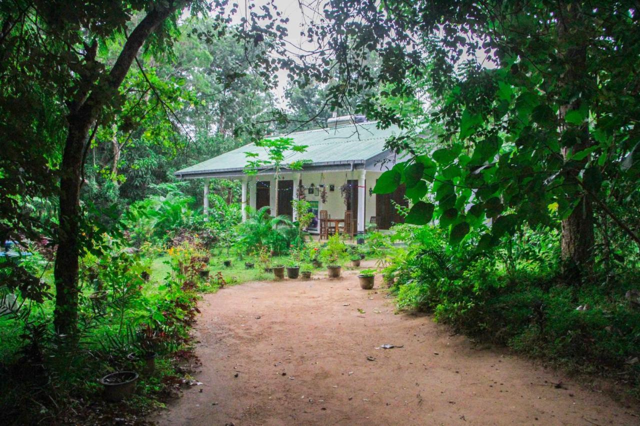 Sigiriya Mana B&B ภายนอก รูปภาพ
