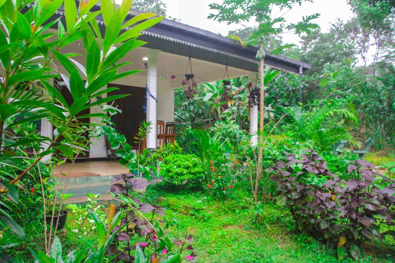 Sigiriya Mana B&B ภายนอก รูปภาพ