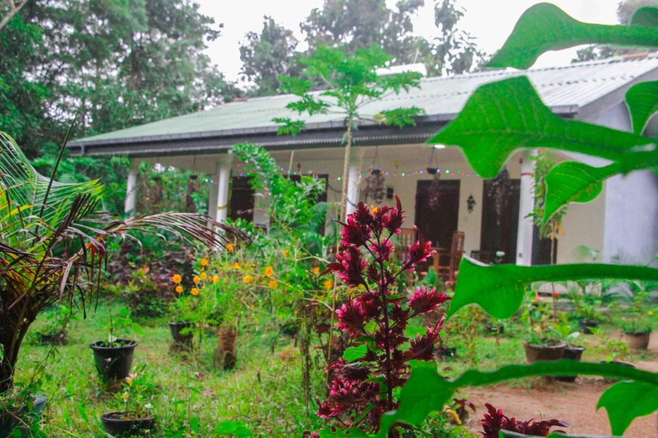 Sigiriya Mana B&B ภายนอก รูปภาพ