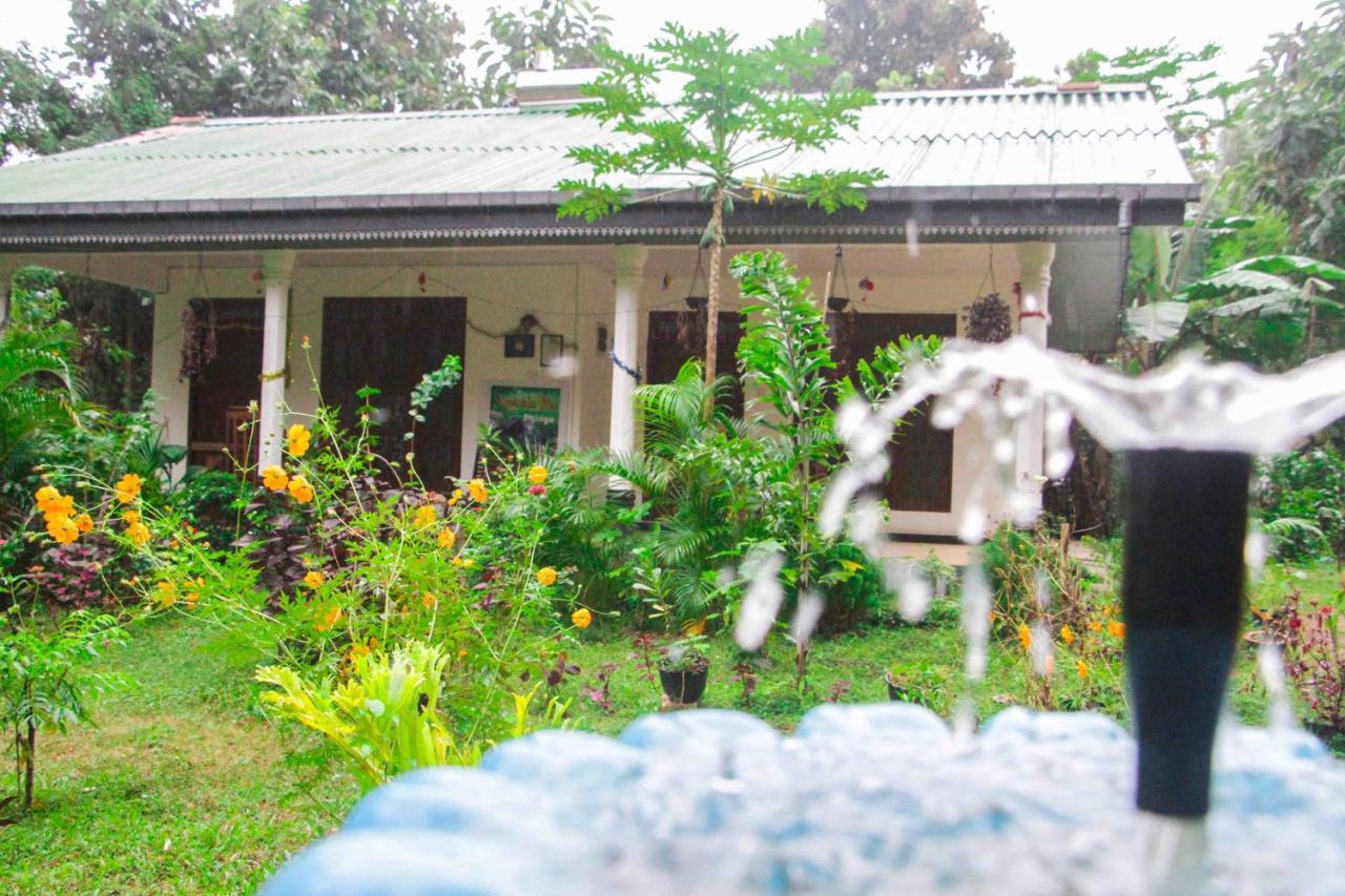 Sigiriya Mana B&B ภายนอก รูปภาพ