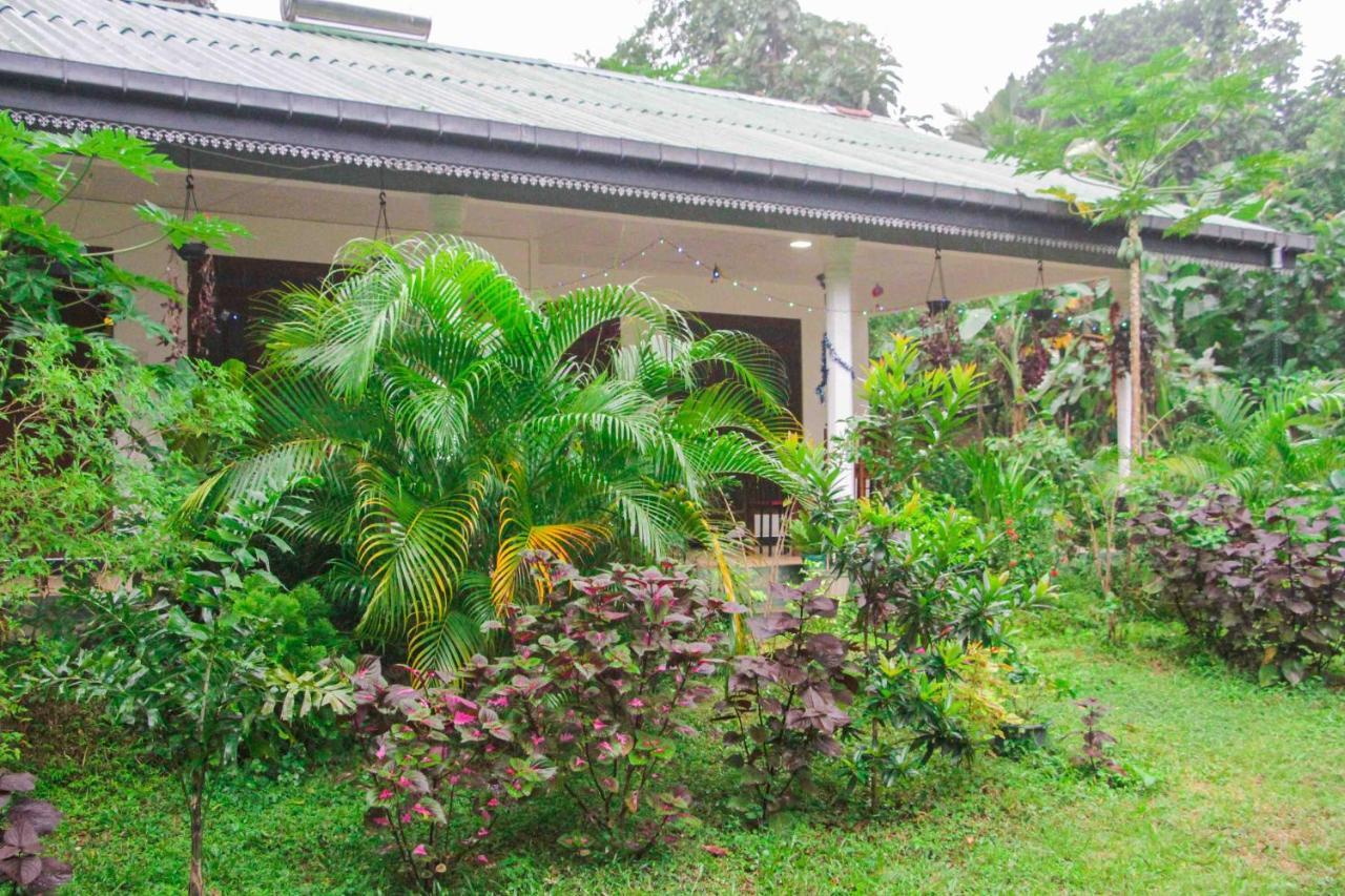 Sigiriya Mana B&B ภายนอก รูปภาพ